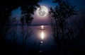 Silhouettes of woods and beautiful moonrise, bright full moon would make a great picture. Outdoors. Royalty Free Stock Photo