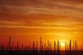 Silhouettes of yacht masts, red sunrise in a port