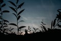 Silhouettes of a young couple lovers at sunset on dramatic sky background. Place for text or advertising Royalty Free Stock Photo