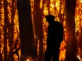 Silhouette of firefighter in a wildfire with burning trees.