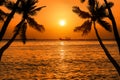 Silhoutte coconut palm trees with silhoutte fisherman boat on tropical sea in sunset Royalty Free Stock Photo