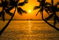 Silhoutte coconut palm trees with silhoutte fisherman boat on tropical sea in sunset Royalty Free Stock Photo