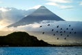 Silhoutte of flock birds flying over the lake, on the background of the volcano