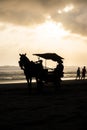 Silhoutte of horse riding on the beach Royalty Free Stock Photo