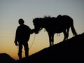 Silhoutte of Man and Horse
