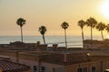 Silhoutte of the palm trees against the sunset at the beach in Oceanside, California Royalty Free Stock Photo