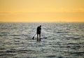 Silhoutte of stand up paddling surfer Royalty Free Stock Photo