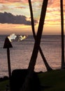Silhoutte of torch in hawaii Royalty Free Stock Photo