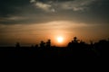 silhuate tree at sunset background nice view Royalty Free Stock Photo