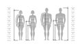 Silhuettes of man and women in full length with measurement lines of body parameters.