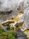 Silica depisits at Whakarewarewa geothermal area on the North Island of New Zealand