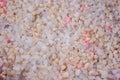 Silica gel cat litter with white and pink granules in active use