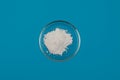 Silicon dioxide powder or Silicon (IV) oxide in Petri dish