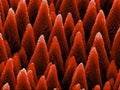 Silicon micro-structures