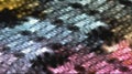 Silicon Micrograph
