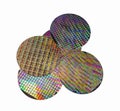 Silicon wafer with chips isolated on white Royalty Free Stock Photo