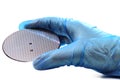 Silicon wafer