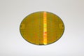 Silicon Wafers and Microcircuits - A wafer is a thin slice of semiconductor material, such as a crystalline silicon, used in Royalty Free Stock Photo