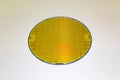 Silicon Wafers and Microcircuits - A wafer is a thin slice of semiconductor material, such as a crystalline silicon, used in Royalty Free Stock Photo