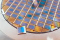 Silicon wafer with microchips fixed in a holder with a steel frame after the dicing process and separate microchips Royalty Free Stock Photo