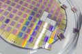 Silicon wafer with microchips fixed in a holder with a steel frame after the dicing process and separate microchips Royalty Free Stock Photo