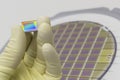 Silicon wafer with microchips, fixed in a holder with a steel frame on a gray background after the process of dicing. Microchip Royalty Free Stock Photo