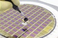 Silicon wafer with microchips, fixed in a holder with a steel frame on a gray background after the process of dicing. Microchip