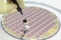 Silicon wafer with microchips, fixed in a holder with a steel frame on a gray background after the process of dicing. Microchip Royalty Free Stock Photo