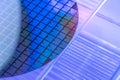 Silicon Wafer with microchips used in electronics