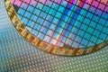Silicon Wafers with microchips used in electronics Royalty Free Stock Photo