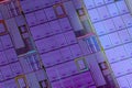 Silicon wafer with microchips used in electronics for the fabrication of integrated circuits. Full-frame high-tech macro Royalty Free Stock Photo