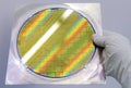 Silicon Wafer in steel holder helds by hand in gloves - A wafer is a thin slice of semiconductor material, such as a crystalline Royalty Free Stock Photo