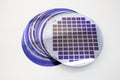 Silicon wafers of different color in stock Royalty Free Stock Photo