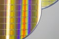 Silicon Wafers and Microcircuits - A wafer is a thin slice of semiconductor material, such as a crystalline silicon, used in Royalty Free Stock Photo