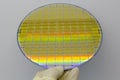 Silicon Wafers and Microcircuits - A wafer is a thin slice of semiconductor material, such as a crystalline silicon, used in Royalty Free Stock Photo