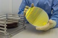 Silicon Wafers in steel holder box take out by hand in gloves- A wafer is a thin slice of semiconductor material, such