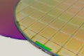 Silicon Wafers two types -empty grey wafer and gold wafes with microchips