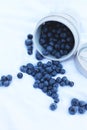 Silicone cup with fresh blueberries. Blueberry antioxidant