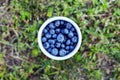 Silicone cup with fresh blueberries. Blueberry antioxidant