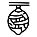 Silk cocoon icon outline vector. Insect cocooning stage