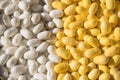 Silk Cocoon white yellow Close-up Royalty Free Stock Photo