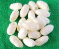 Silk Cocoons on green background Royalty Free Stock Photo