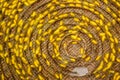Silk cocoons before privatization Royalty Free Stock Photo
