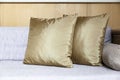 silk cushions on fabric sofas in living room Royalty Free Stock Photo