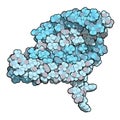 Silk fibroin fragment (N-terminal domain). Fibroin is one of the two main components of silk, produced by the silkworm (Bombyx