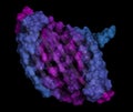 Silk fibroin fragment (N-terminal domain). Fibroin is one of the two main components of silk, produced by the silkworm (Bombyx