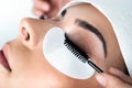 Enhancing Beauty: Silk Eyelash Extension Application in a Close-Up View Royalty Free Stock Photo