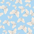 Silk moth almond seamless vector pattern