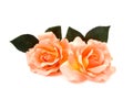 Silk orange roses Royalty Free Stock Photo