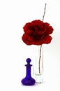 Silk Rose with Perfume Bottle Royalty Free Stock Photo